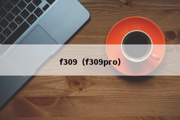 f309（f309pro）